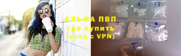МДПВ Рославль
